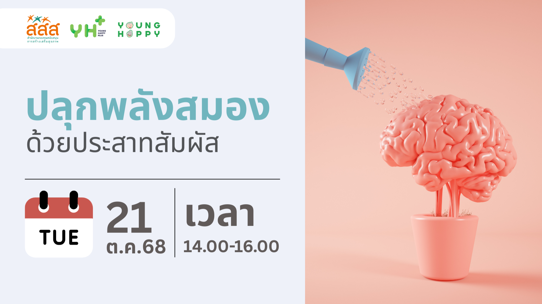 ปลุกพลังสมองด้วยประสาทสัมผัส