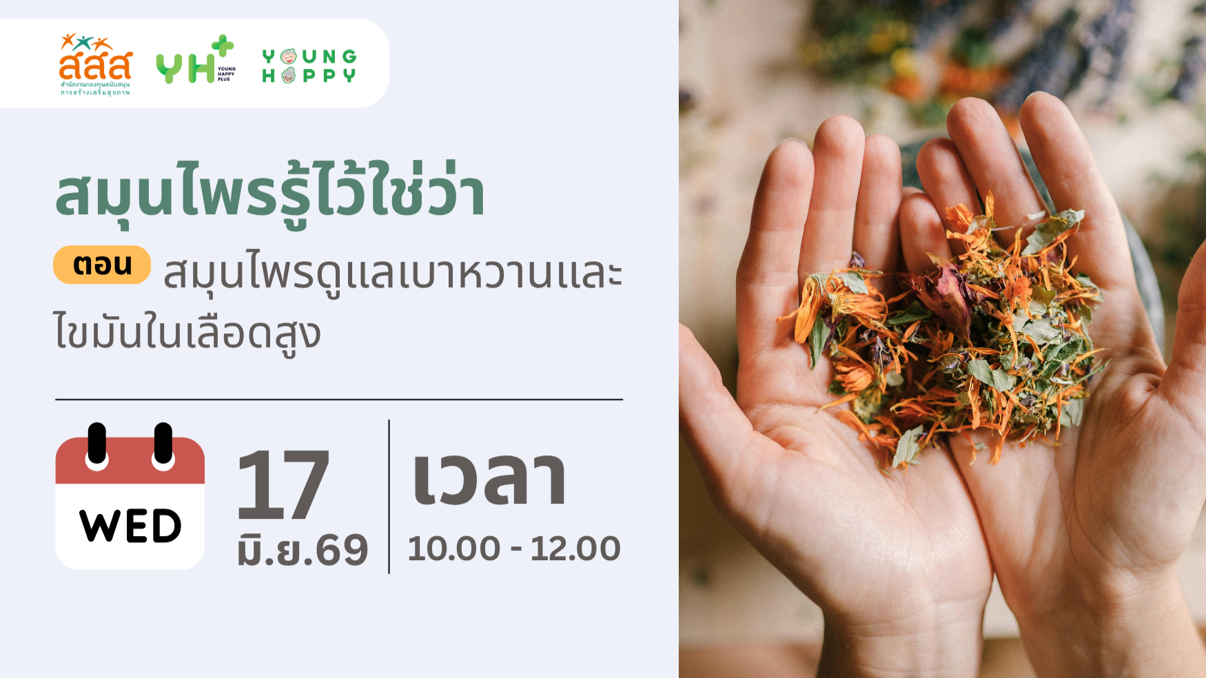 สมุนไพรรู้ไว้ใช่ว่า ตอน สมุนไพรดูแลเบาหวานและไขมันในเลือดสูง