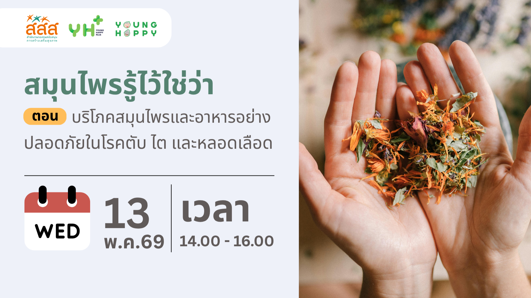 สมุนไพรรู้ไว้ใช่ว่า ตอน บริโภคสมุนไพรและอาหารอย่างปลอดภัยในโรคตับ ไตและหลอดเลือด