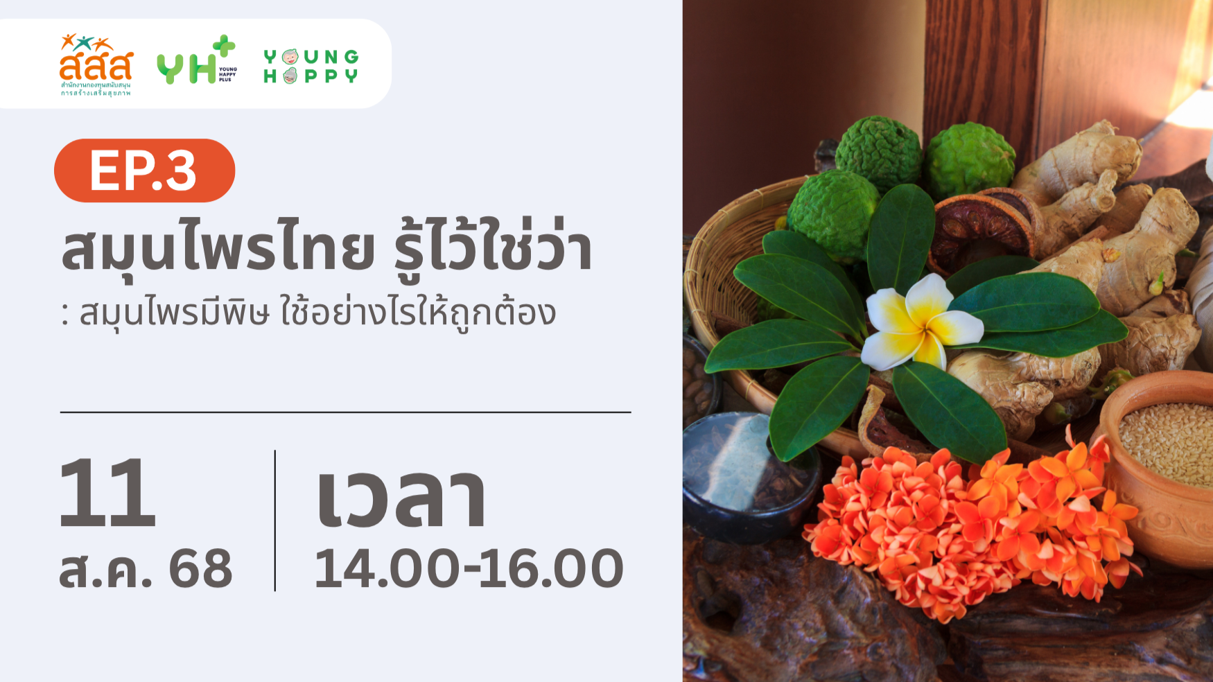 ความรู้สมุนไพร รู้ไว้ใช่ว่า EP.3